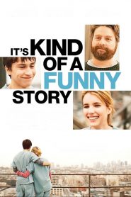 Its Kind Of A Funny Story 2010