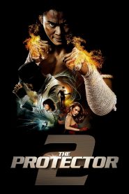 Phim Người Bảo Vệ 2 (Thuyết minh) – The Protector 2