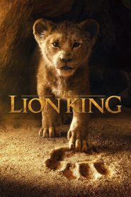 The Lion King 2019 – Vua Sư Tử